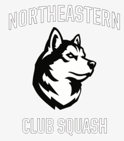 Nu Squash - Northeastern University Husky Logo, HD Png Download, Transparent PNG