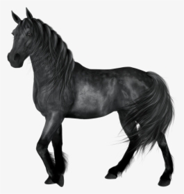 Black Horse Clip Art, HD Png Download, Transparent PNG