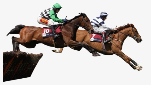 Racehorses Jumping Transparent Image - Race Horse Transparent Background, HD Png Download, Transparent PNG