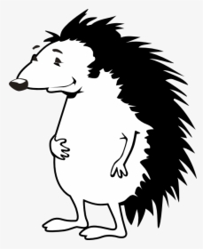 Black And White Png - Porcupine Clipart Black And White, Transparent Png, Transparent PNG