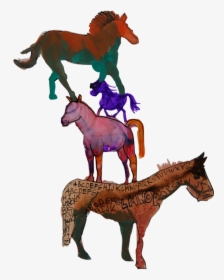 Foal, HD Png Download, Transparent PNG