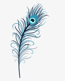 Transparent Single Peacock Feathers Png - High Resolution Peacock Feather, Png Download, Transparent PNG