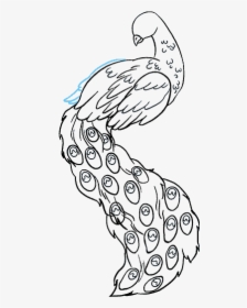 How To Draw Peacock - Draw A Peacock Easy, HD Png Download, Transparent PNG