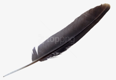Natural-material - Eagle Feather Black, HD Png Download, Transparent PNG