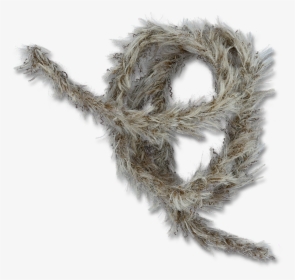 Ezee Bug Yarn - Scarf, HD Png Download, Transparent PNG