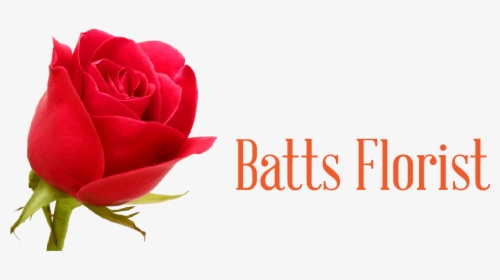 Batts Florist - Floribunda, HD Png Download, Transparent PNG