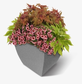 Square Commercial Planter W-flowers - Superbells Strawberry Punch, HD Png Download, Transparent PNG