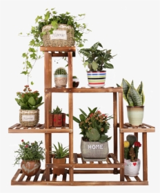 Anti Corrosion Wood Flower Stand Multi Layer Combination - Ladder Style Plant Stands, HD Png Download, Transparent PNG