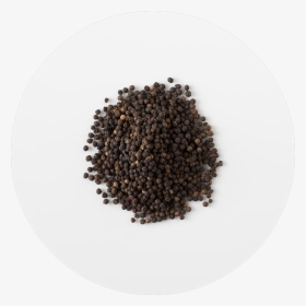 Pepper Transparent Chipotle - Java Coffee, HD Png Download, Transparent PNG