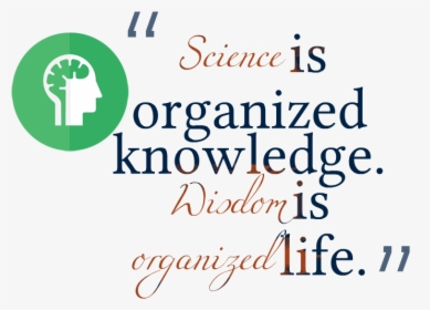 Knowledge Quotes Free Png Image - Calligraphy, Transparent Png, Transparent PNG