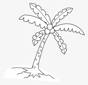 Coloring Page Free Clip - White Coconut Tree, HD Png Download, Transparent PNG