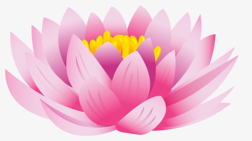 Download Flower Background Toppng - Lotus Flower Images Png, Transparent Png, Transparent PNG