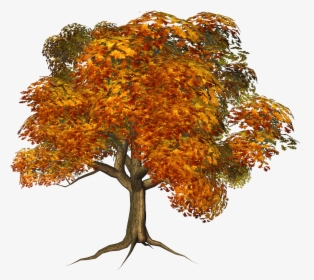 Tree Clipart Clipart Transparent Background - Transparent Background Autumn Tree, HD Png Download, Transparent PNG