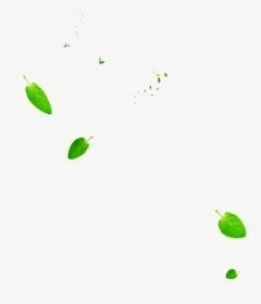 Leaf Green Euclidean Vector - Falling Tea Leaves Png, Transparent Png, Transparent PNG
