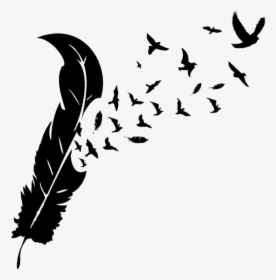 Feather With Birds Silhouette - Feather With Bird Silhouette, HD Png Download, Transparent PNG