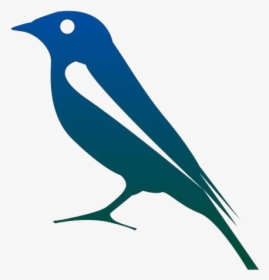 Rainforest Birds Png Transparent Images - Mountain Bluebird, Png Download, Transparent PNG