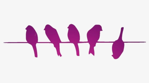 Birds On Wire Png Transparent Images - Dare To Be Different Birds On A Wire, Png Download, Transparent PNG