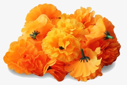Marigold Png Transparent Image - Transparent Marigold Flower Png, Png Download, Transparent PNG