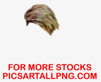Hd Cb Hair Png,hair Png,picsartallpng - Poster, Transparent Png, Transparent PNG