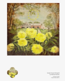 Senate House Marigold Fine Art Poster - Large-flowered Evening Primrose, HD Png Download, Transparent PNG