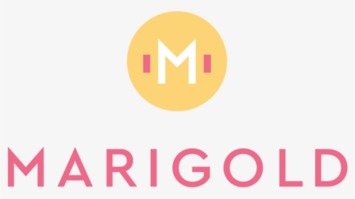 Marigold Png, Transparent Png, Transparent PNG