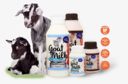 Goat Milk Dairy Farm, HD Png Download, Transparent PNG