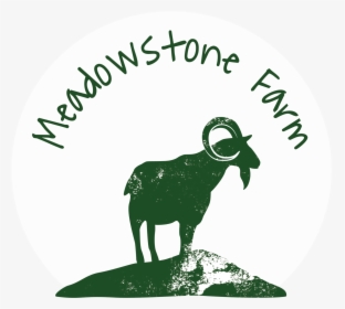 Pastured Animals Meadowstone Farm - Bighorn, HD Png Download, Transparent PNG