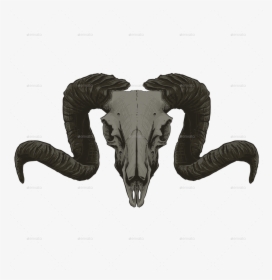 Goat Skull Png, Transparent Png, Transparent PNG
