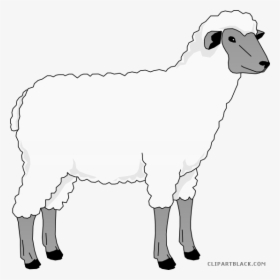 Sheep Clip Art Clipart Goat Merino Clip Art - Ingenieria Genetica Experimenta Con Celulas Madre, HD Png Download, Transparent PNG