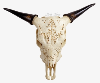 Cow Skull Png - Horn, Transparent Png, Transparent PNG