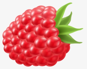 Fruit Clipart Raspberry - Transparent Background Clipart Raspberry, HD Png Download, Transparent PNG