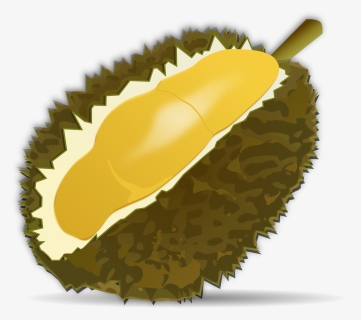 Durian Fruit Clip Art, HD Png Download, Transparent PNG