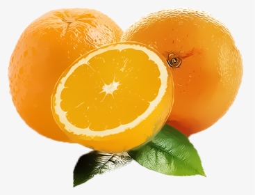 Orange Fruit Clipart Png Free Download Searchpng - Clementine, Transparent Png, Transparent PNG
