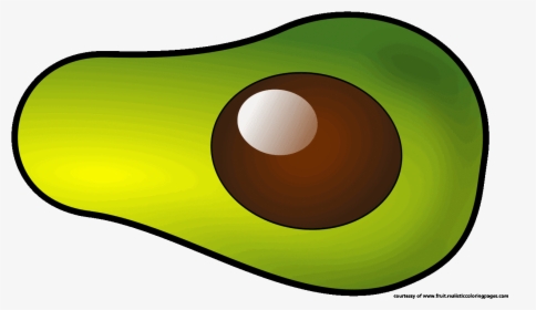 Avocado Clipart Free Download - Fruit Clipart, HD Png Download, Transparent PNG