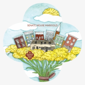 Organic Senate House Marigold Seeds - Bouquet, HD Png Download, Transparent PNG