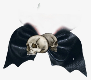 #batbow #bat #bow #bows #hairbow - Skull, HD Png Download, Transparent PNG
