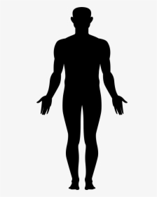 Body Png Png - Full Body Image Icon, Transparent Png, Transparent PNG