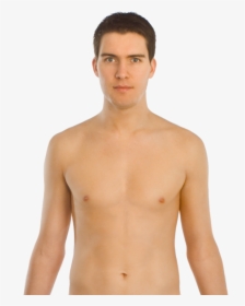 Upper Body Front, HD Png Download, Transparent PNG