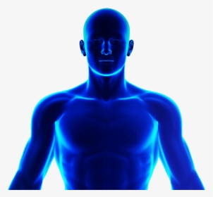 Png Blue Human Body, Transparent Png, Transparent PNG
