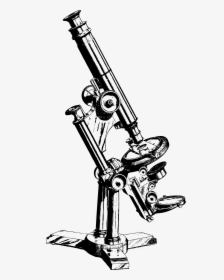 Vintage Microscope - Microscope Drawings, HD Png Download, Transparent PNG