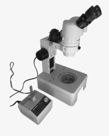 Dissecting Microscope And Light Source - Light Source Microscopes Png, Transparent Png, Transparent PNG