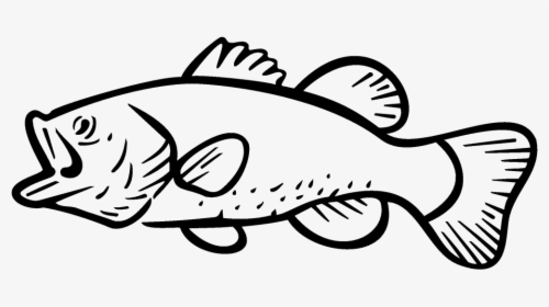 Bass Fishing Largemouth Bass Clip Art - Largemouth Bass Clip Art, HD Png Download, Transparent PNG