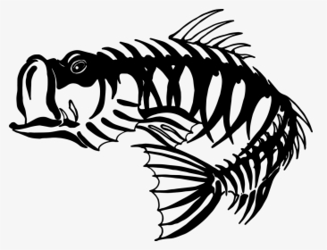 Bass Fishing Skeleton Largemouth Bass - Skeleton Bass, HD Png Download, Transparent PNG