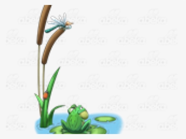 Transparent Frog In Pond Clipart - Toad, HD Png Download, Transparent PNG