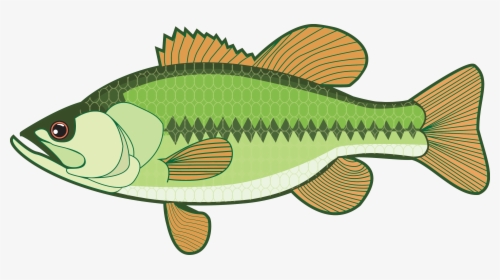 Clip Art Fish Bass, HD Png Download, Transparent PNG