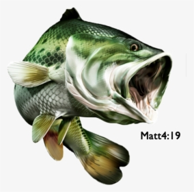 Bass Fish Store Logo , Png Download - Big Mouth Bass Illustration, Transparent Png, Transparent PNG