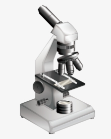 Microscope Bacteria Clip Art - Microscopic Png, Transparent Png, Transparent PNG