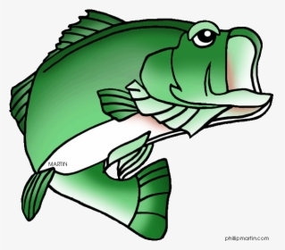 Largemouth Bass Fish Clip Art - Sea Bass Clip Art, HD Png Download, Transparent PNG