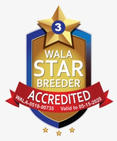 Happy Tails Wala Star Logo 0519 00735 - Labradoodle, HD Png Download, Transparent PNG