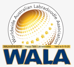 Happy Tails Wala Logo 0519 00735 - Big Rock Labradoodles, HD Png Download, Transparent PNG